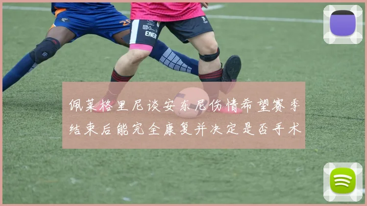 佩莱格里尼谈安东尼伤情希望赛季结束后能完全康复并决定是否手术